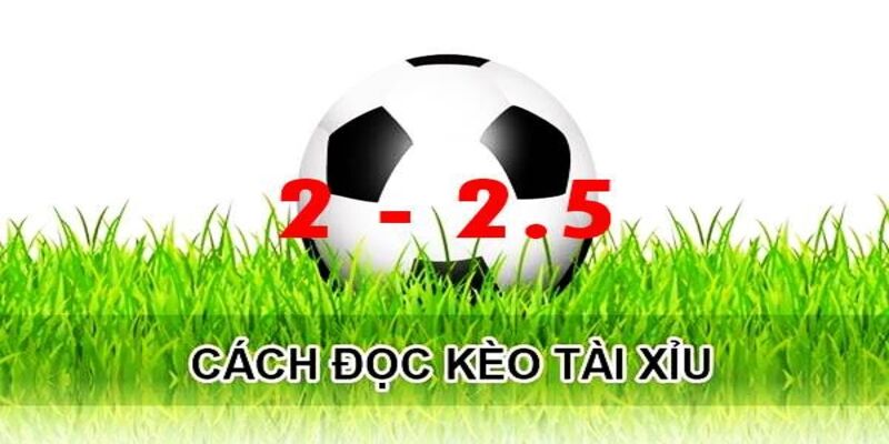 Hướng dẫn từng bước đọc kèo chuẩn xác 