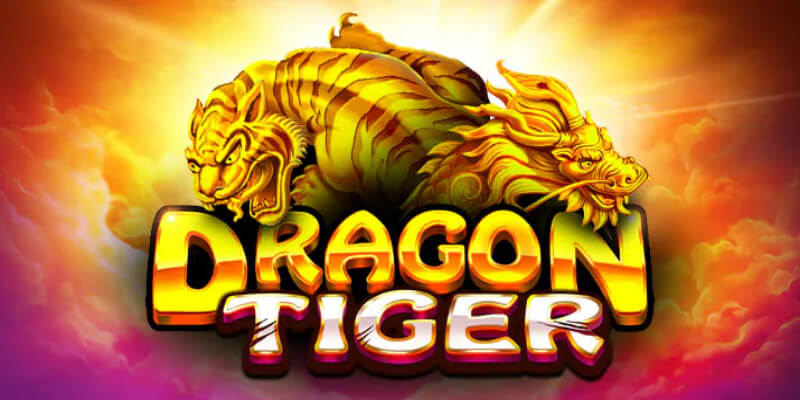 Hướng dẫn tham gia các ván cược dragon tiger